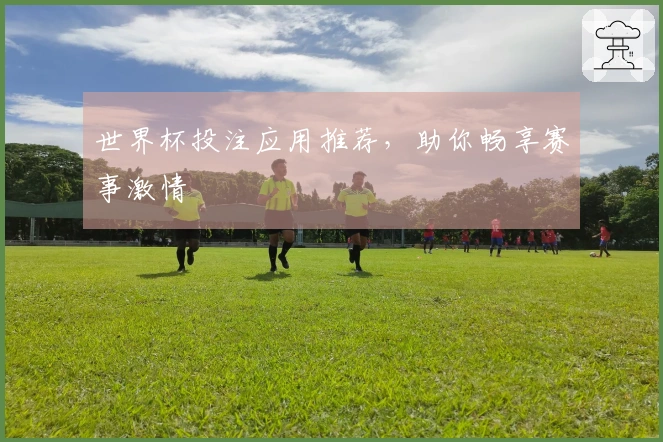 世界杯投注应用推荐，助你畅享赛事激情