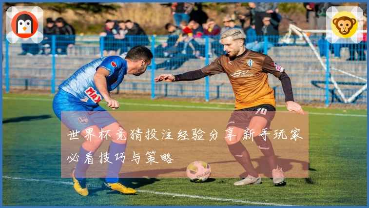 世界杯竞猜投注经验分享 新手玩家必看技巧与策略