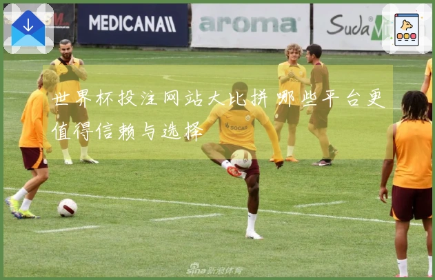 世界杯投注网站大比拼 哪些平台更值得信赖与选择